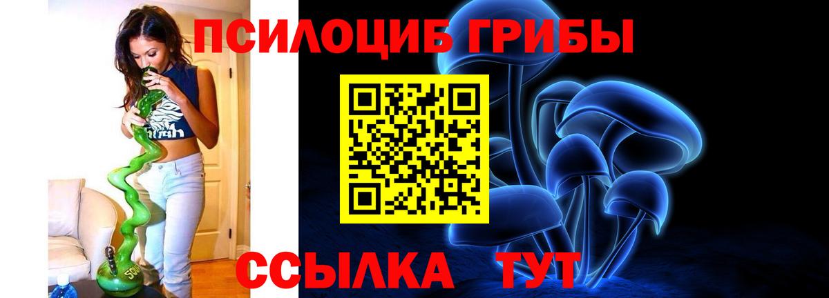 Псилоцибиновые грибы мицелий  Вход с VPN  Канаш  Псилоцибиновые грибы мицелий 